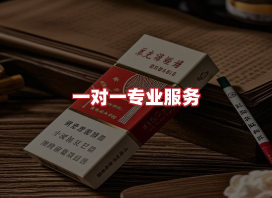 专业团队